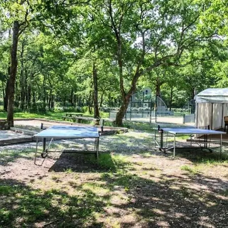 Mobil-home 6 Personnes Avec Terrasse A - Api-1-52-371 Kemping