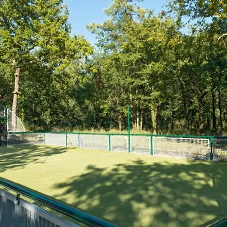 Mobil-home 6 Personnes Avec Terrasse à - Api-1-52-371 *