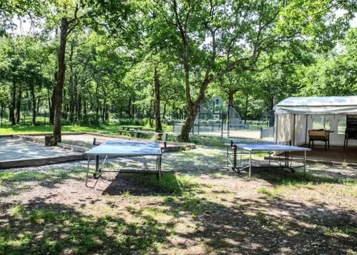 Mobil-home 6 Personnes Avec Terrasse A - Api-1-52-371 Campingplads