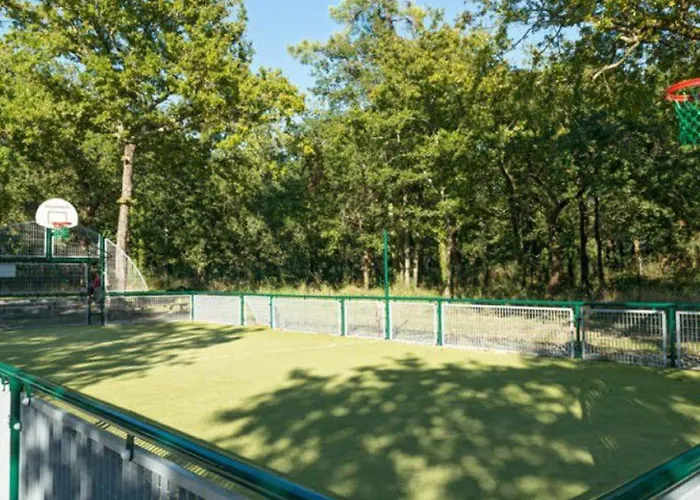 Mobil-home 6 Personnes Avec Terrasse A - Api-1-52-371 *